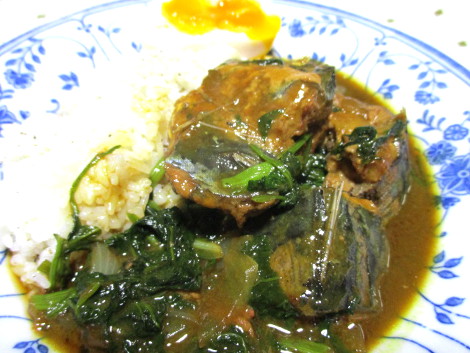 sabamiso-curry.JPG